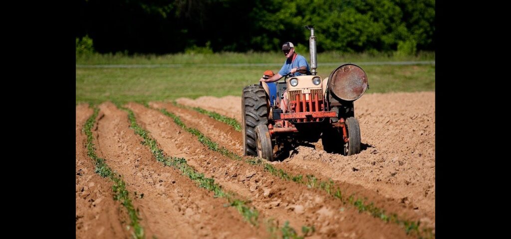 Farming